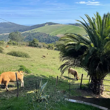 Rurales Pena Crespa Tatil Evi Tresvilla