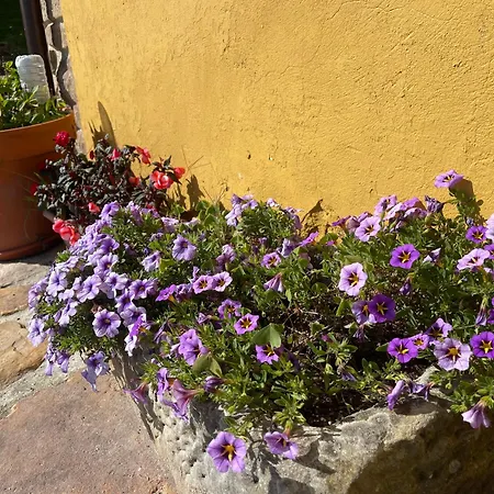 Rurales Pena Crespa